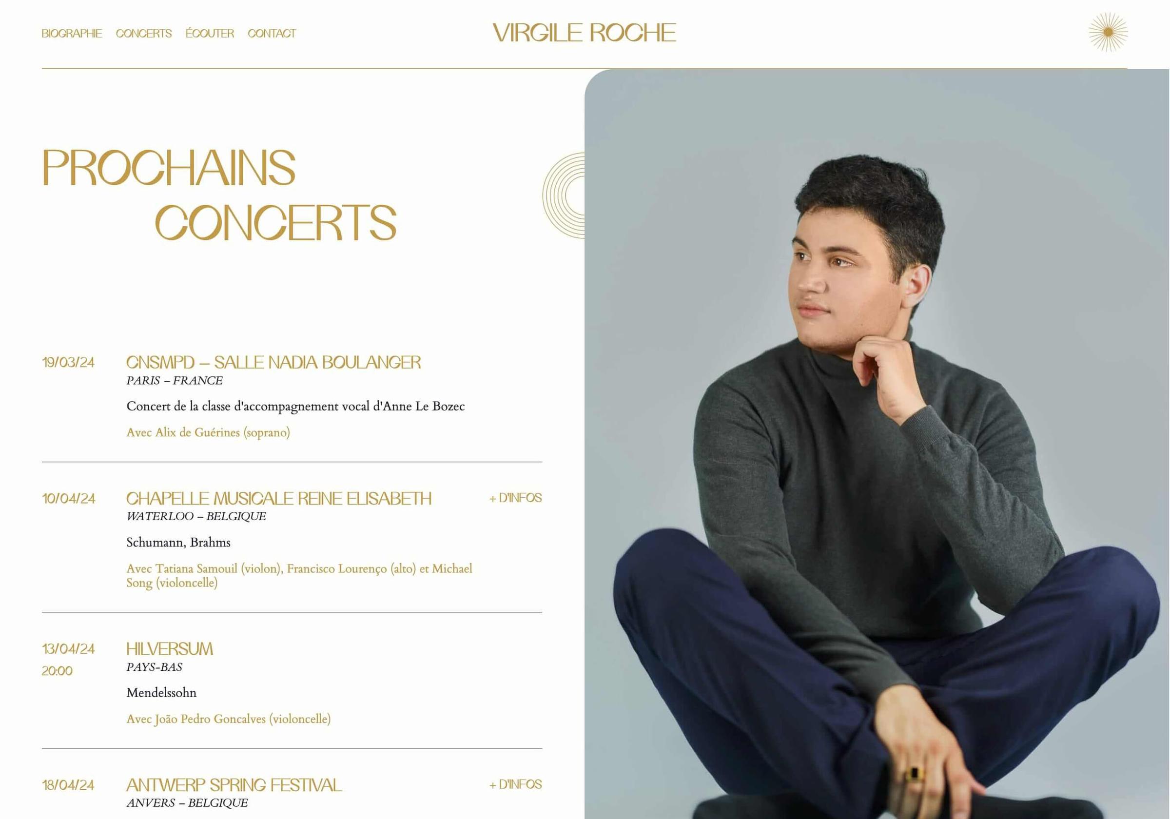 Visual of Virgile Roche's website