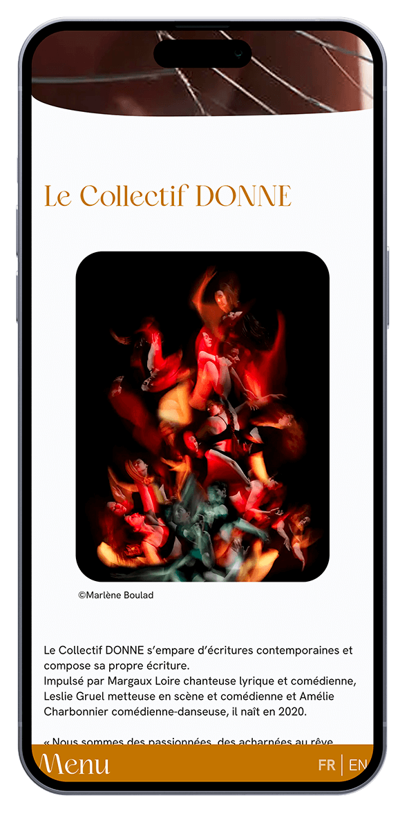 Website visual on mobile